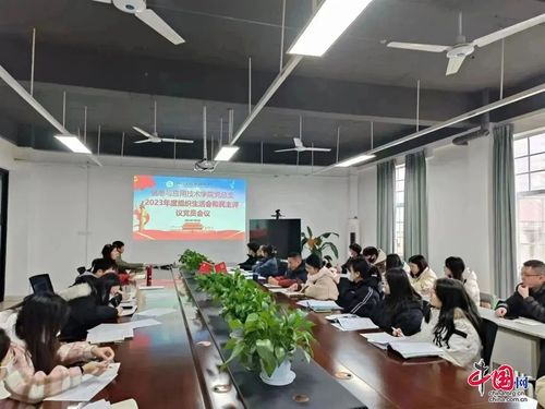 四川文化传媒职业学院圆满完成2023年度专题组织生活会和民主评议党员工作